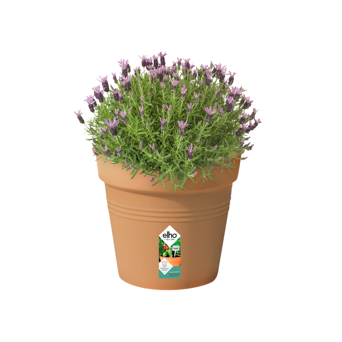 green basics pot de culture 35cm terre cuite doux